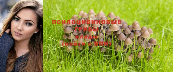кокаин перу Алексеевка