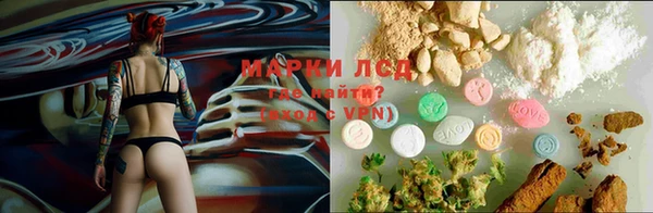 гидропоника Алексин