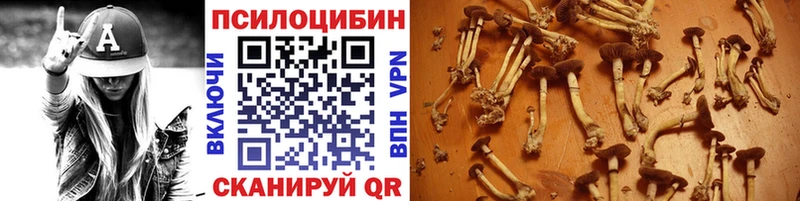 цены Зверево Галлюциногенные грибы мухоморы